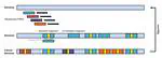 Convolutional filtering for mutation signatures