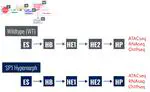 Multi-Omics Network inference